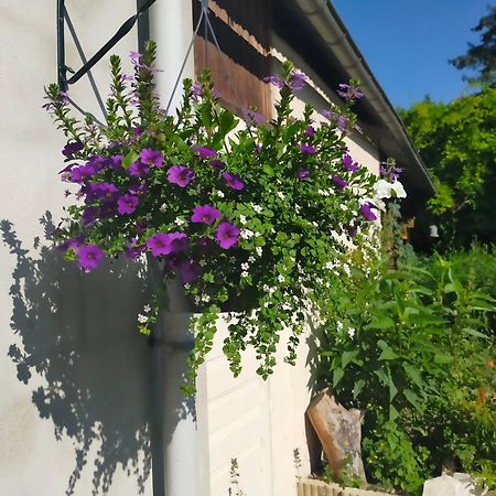 Apartament Logis51 Ville-sur-Tourbe Zewnętrze zdjęcie