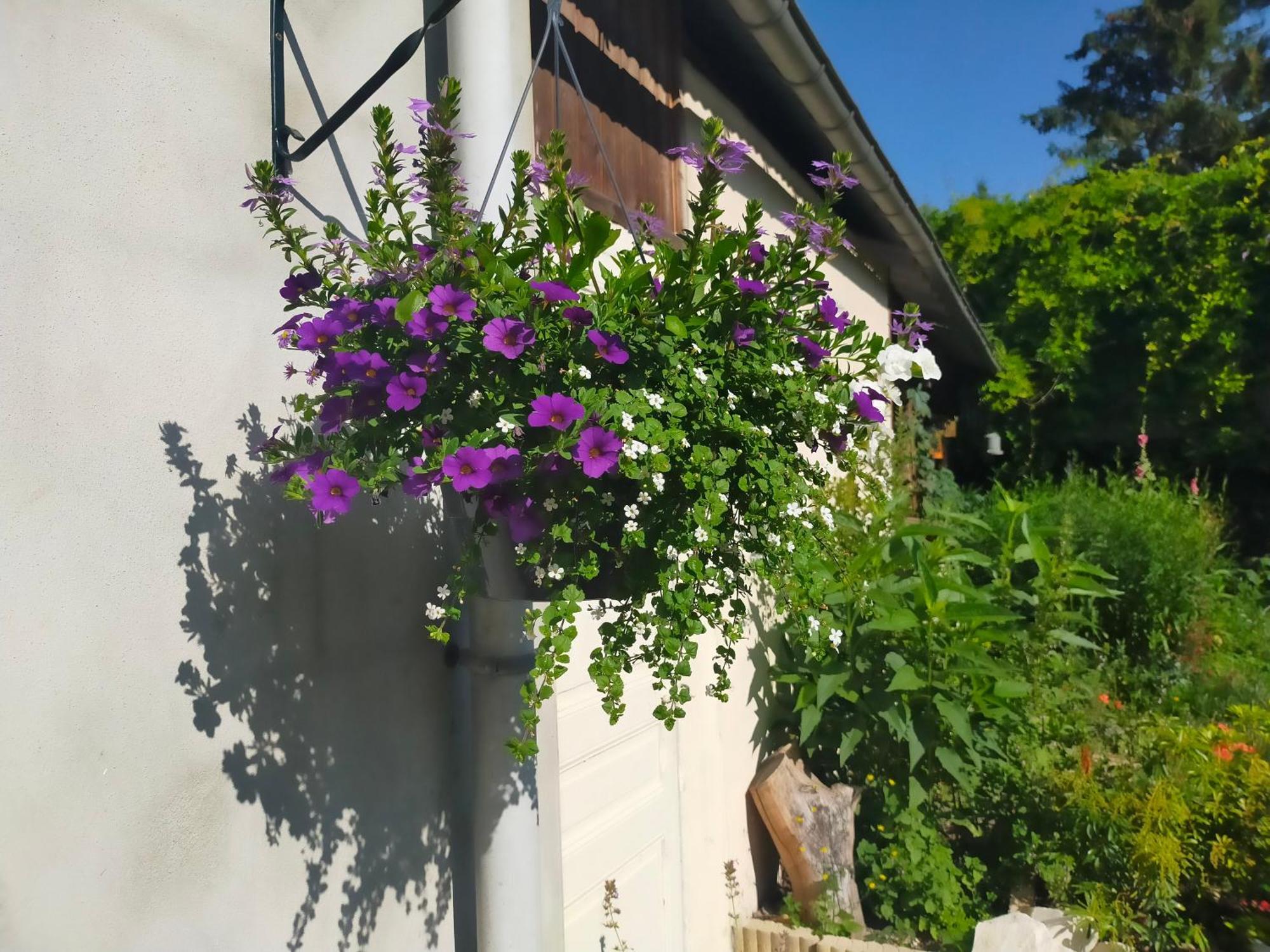 Apartament Logis51 Ville-sur-Tourbe Zewnętrze zdjęcie
